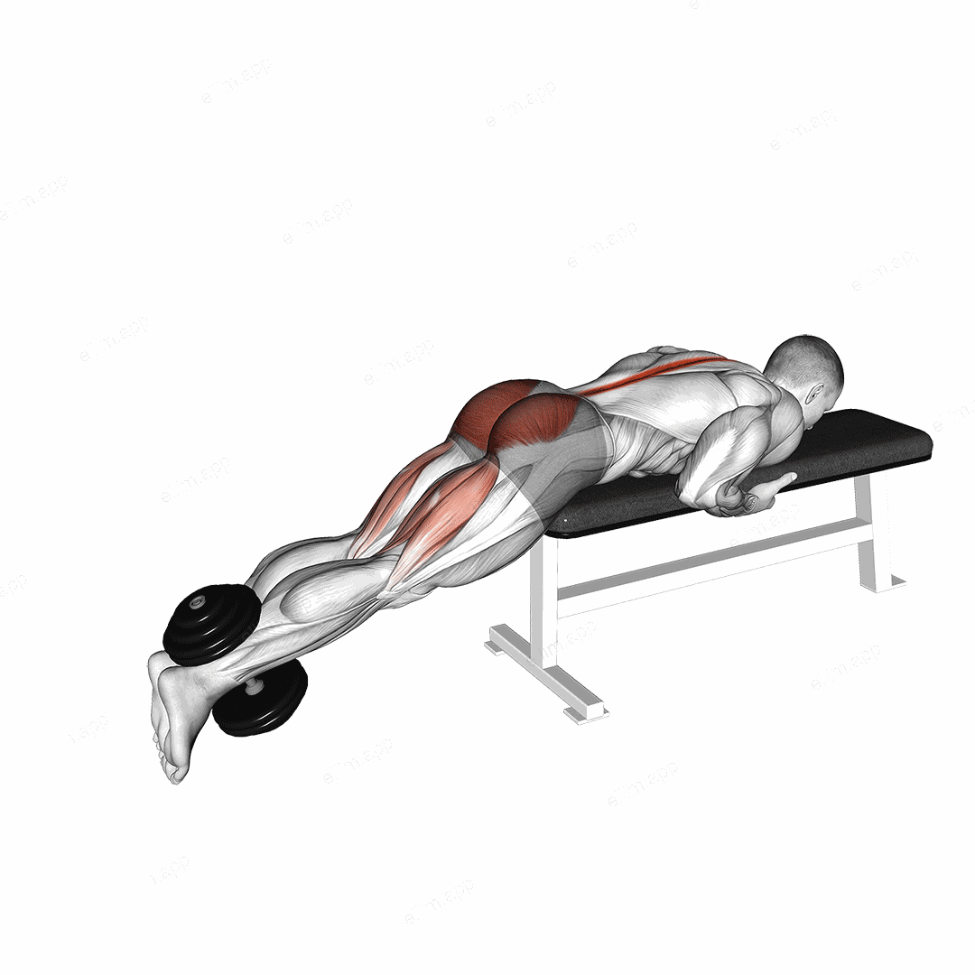 Dumbbell Reverse Hyperextension on Bench exercise targeting Hips