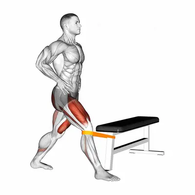 Resistance Band Adduction Split Squat exercise targeting Thighs