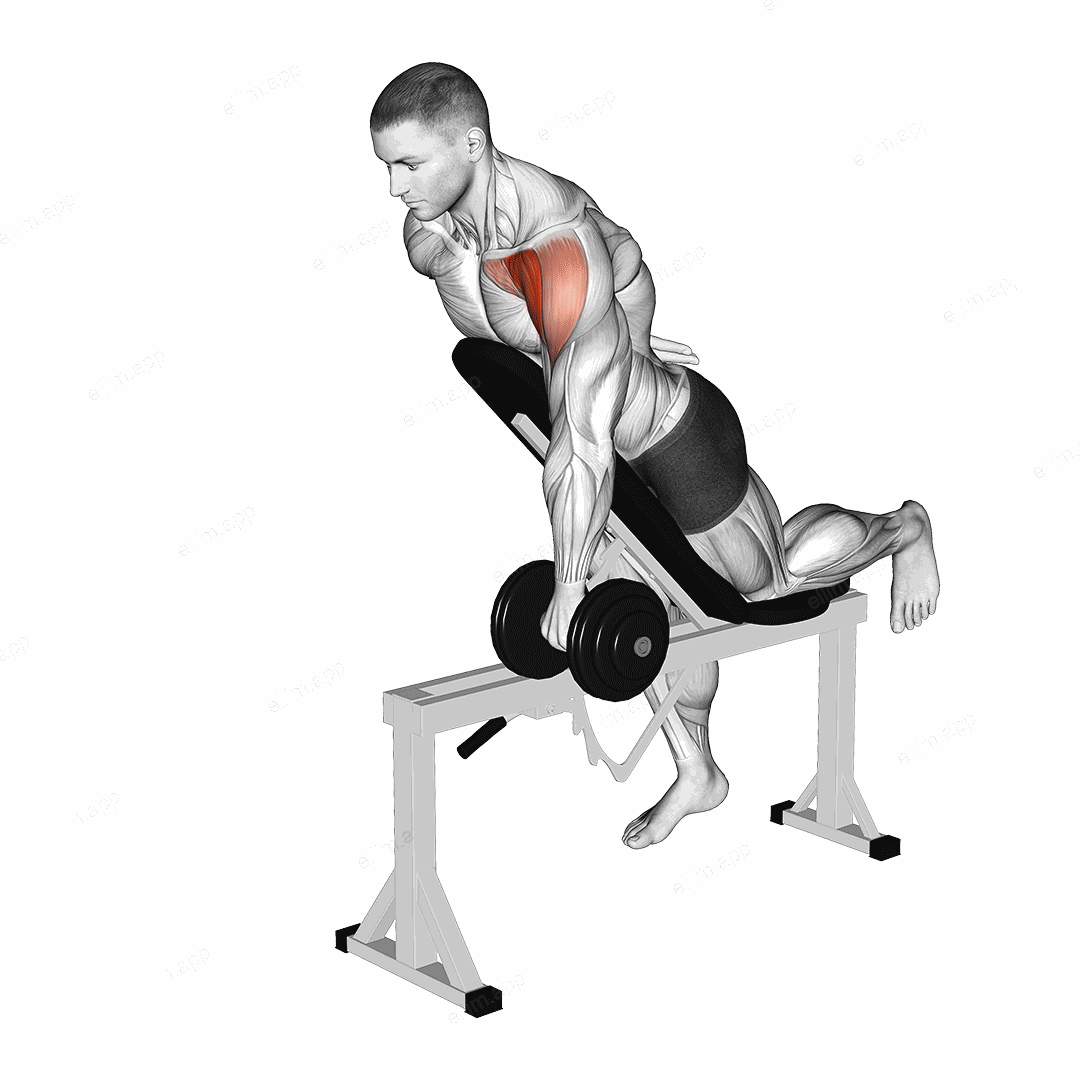 Dumbbell Incline One Arm Front Raise with Chest Support exercise targeting Shoulders