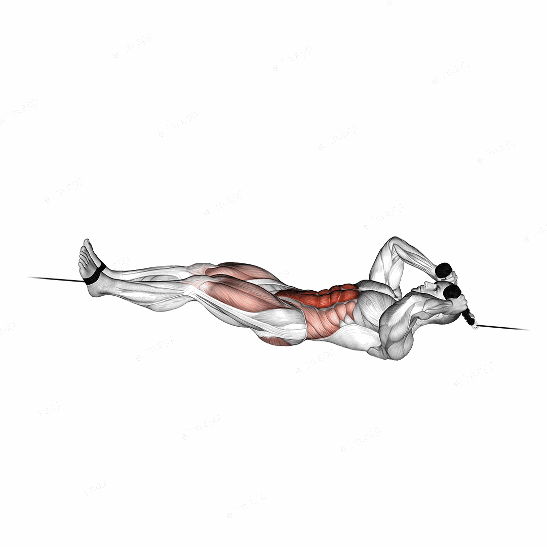 Cable Tuck Reverse Crunch exercise targeting Waist and Iliopsoas