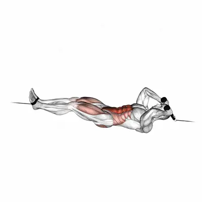 Cable Tuck Reverse Crunch exercise targeting Waist and Iliopsoas