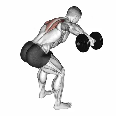 Dumbbell Bent Over Alternate Rear Delt Fly exercise targeting Shoulders and Deltoid Posterior