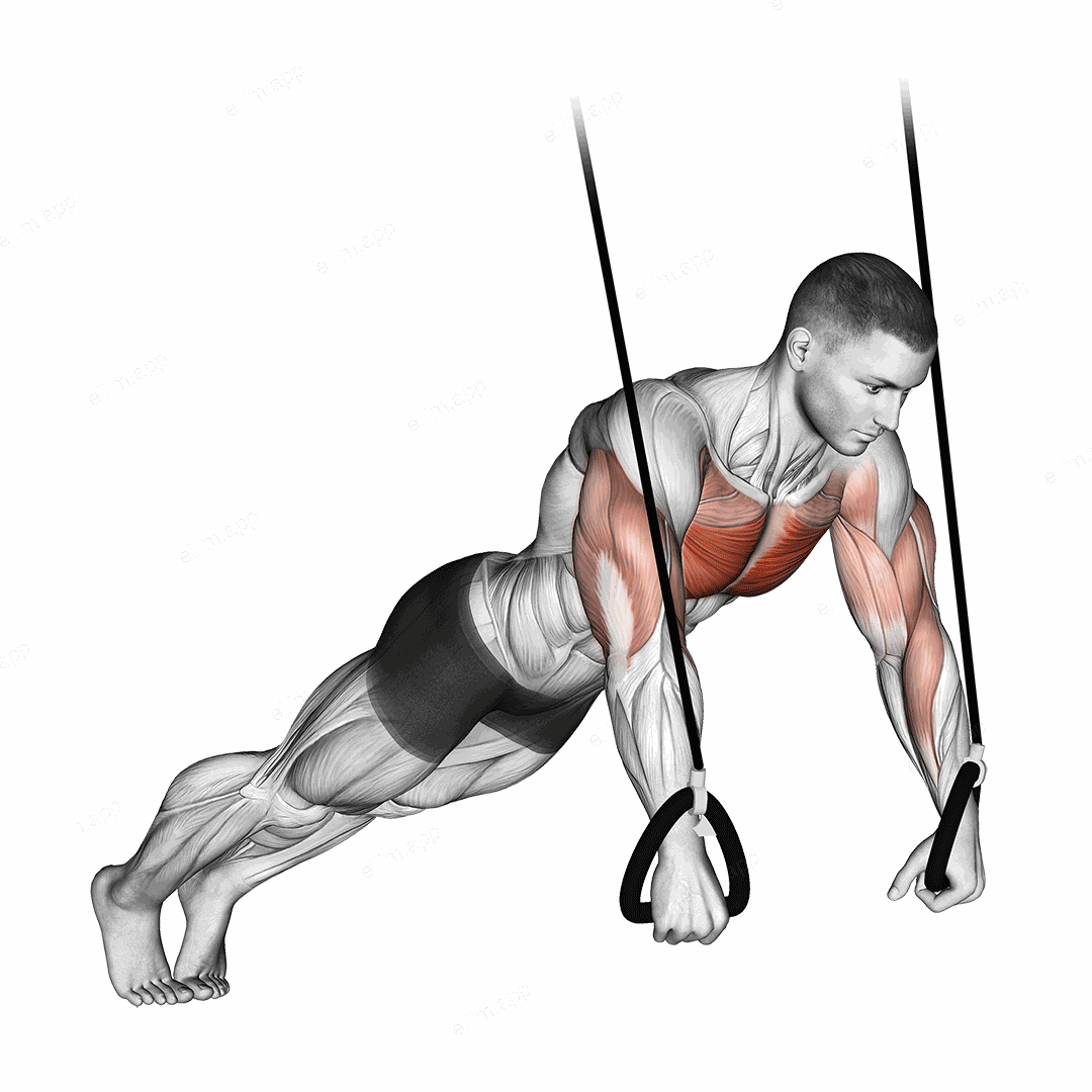 Suspended Push Up exercise targeting Chest