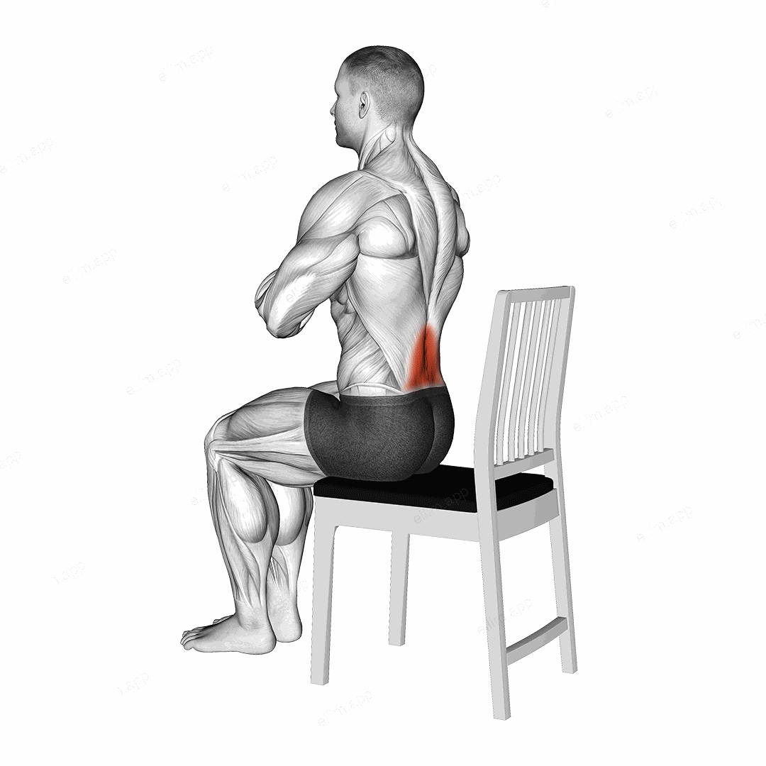 Seated Lean Back on a Chair exercise targeting Back
