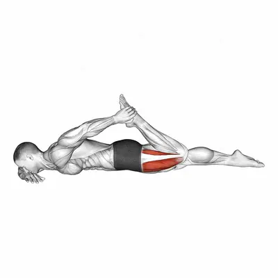Quadriceps lying stretch exercise targeting Thighs and Quadriceps