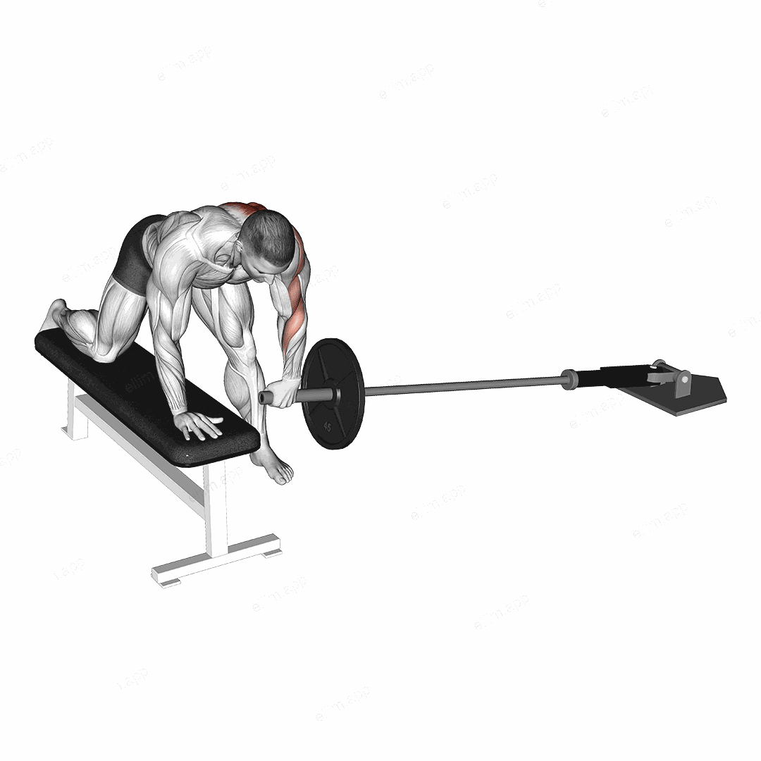 Landmine One Arm Bent Over Bench Row exercise targeting Back
