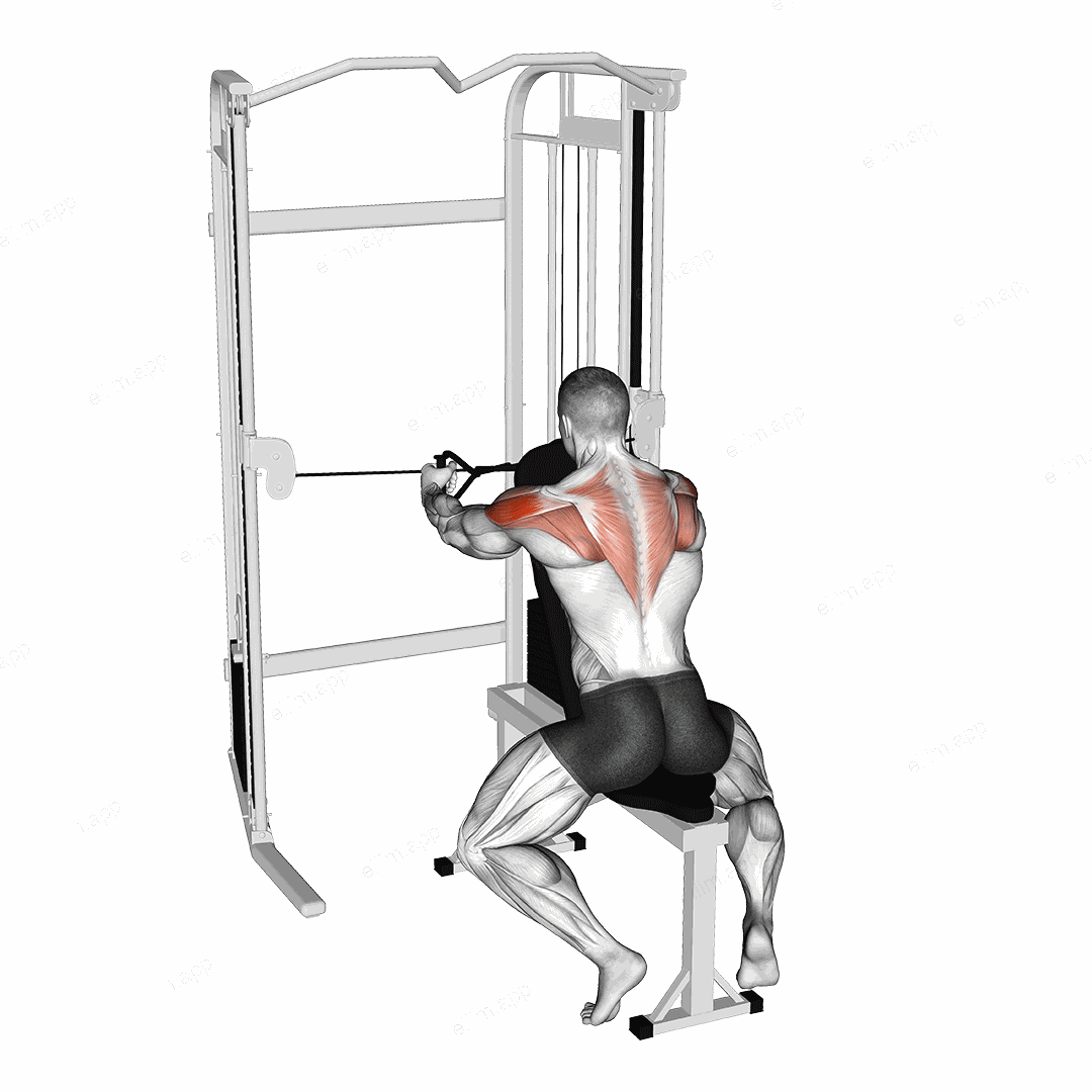 Cable Seated Rear Delt Fly with Chest Support exercise targeting Shoulders and Deltoid Posterior