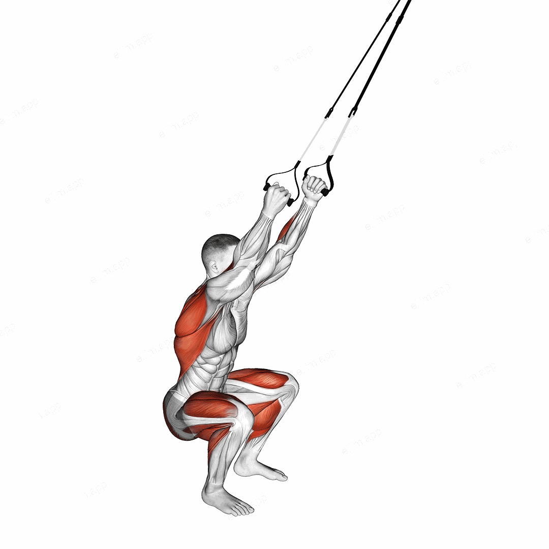 Suspender Squat Jump exercise targeting Thighs