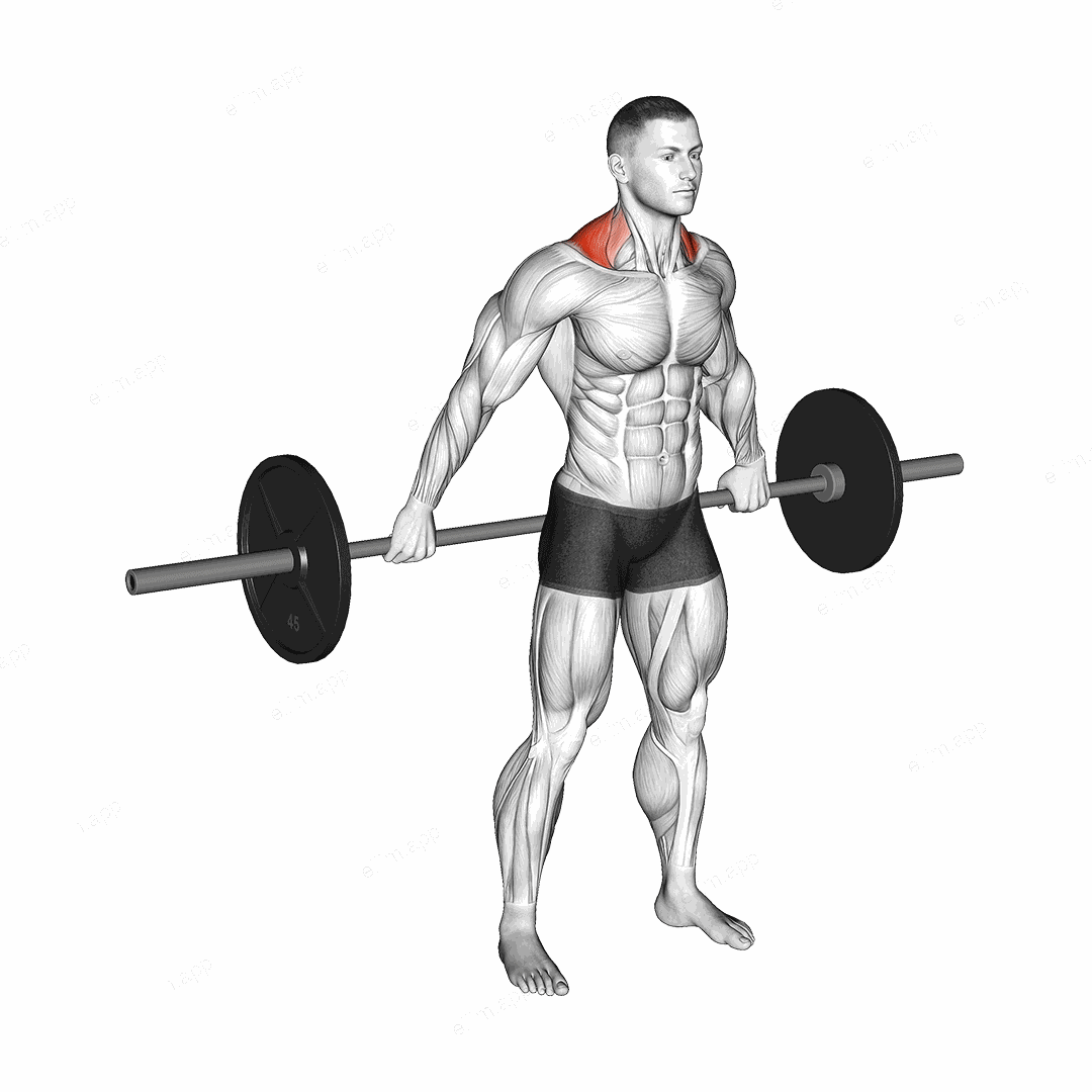 Barbell Back Wide Shrug exercise targeting Back and Trapezius Upper Fibers