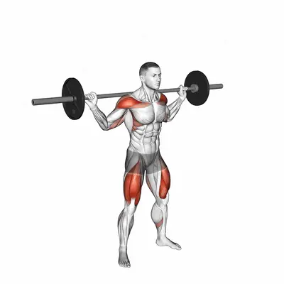 Press Under exercise targeting Weightlifting