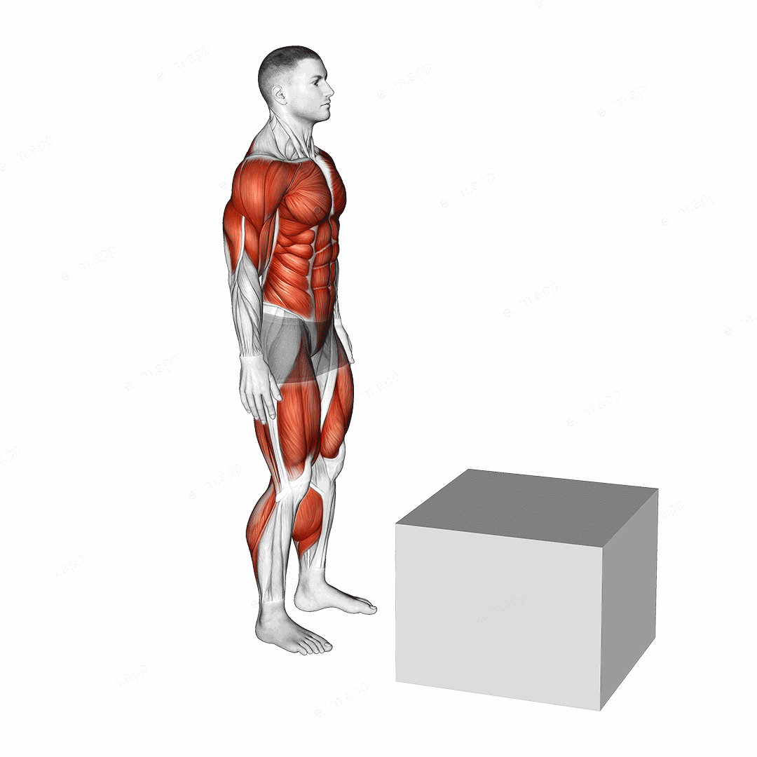 1 to 2 Jump Box exercise targeting Plyometrics