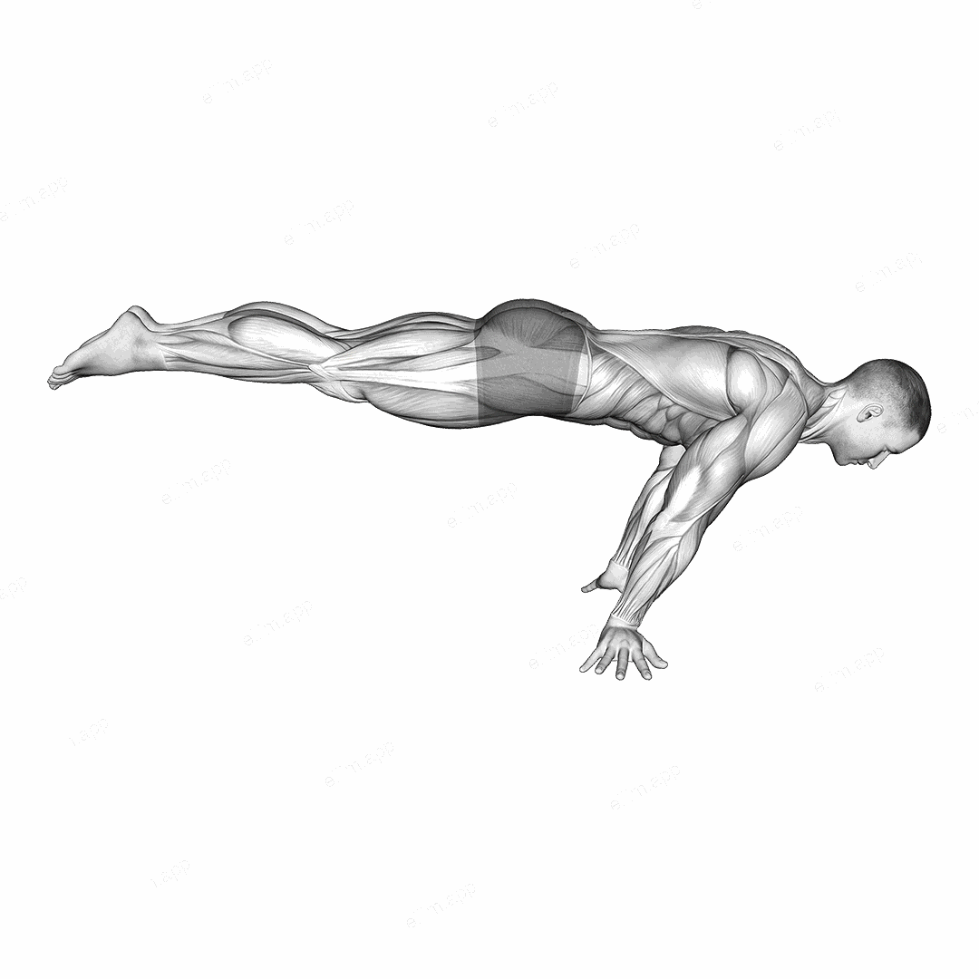 Full planche exercise targeting Waist and Rectus Abdominis