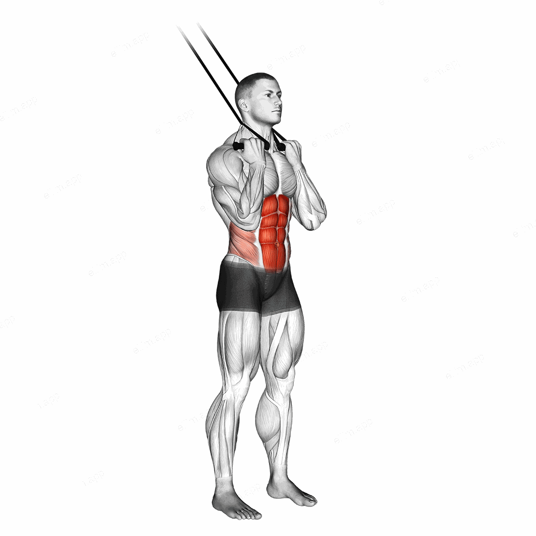 Band standing crunch exercise targeting Waist and Rectus Abdominis