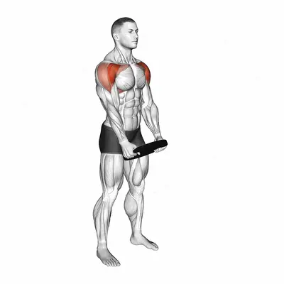Weighted Front Raise Hold exercise targeting Shoulders