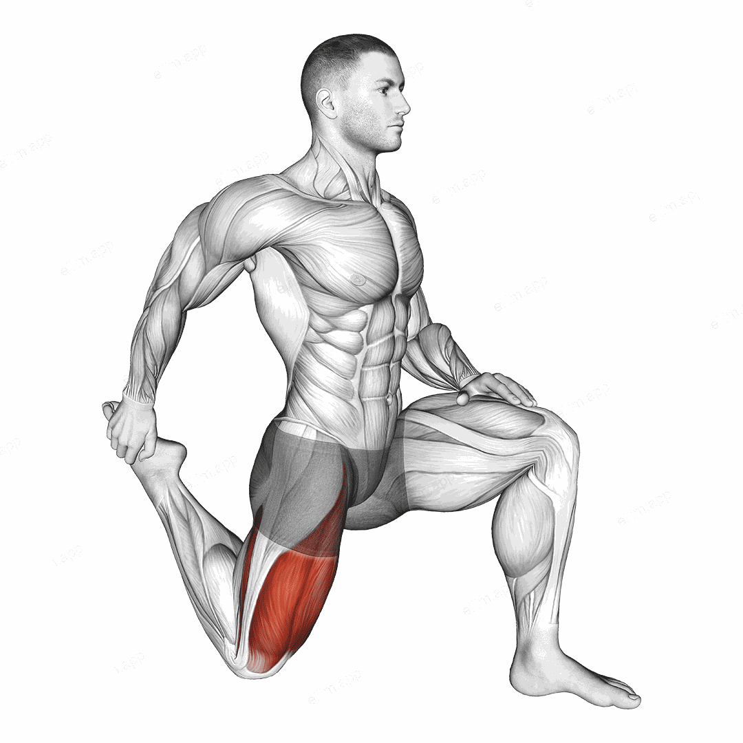 Quadriceps stretch exercise targeting Thighs and Quadriceps
