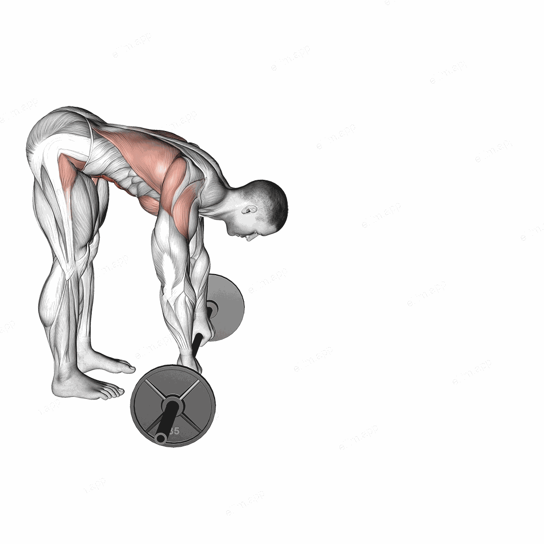 Barbell Standing ab rollout exercise targeting Waist