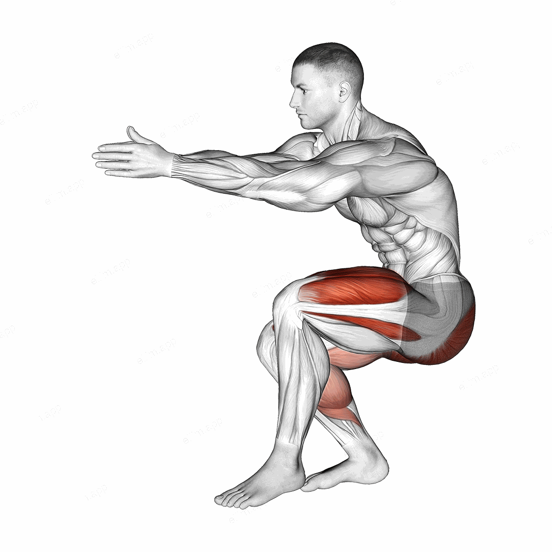 Static Lunge Kick exercise targeting Thighs and Gluteus Maximus