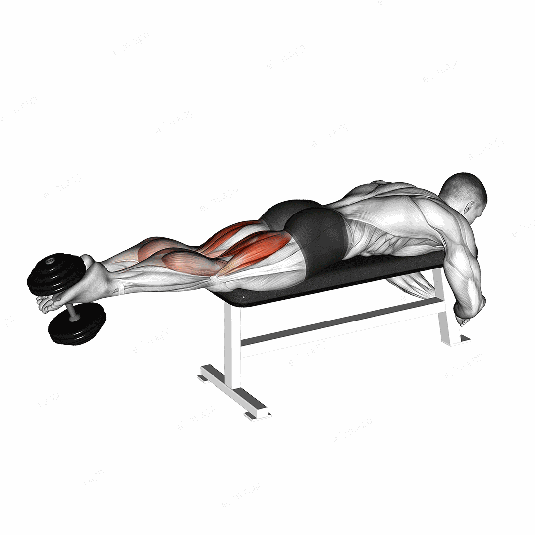 Dumbbell Lying Femoral exercise targeting Thighs and Hamstrings