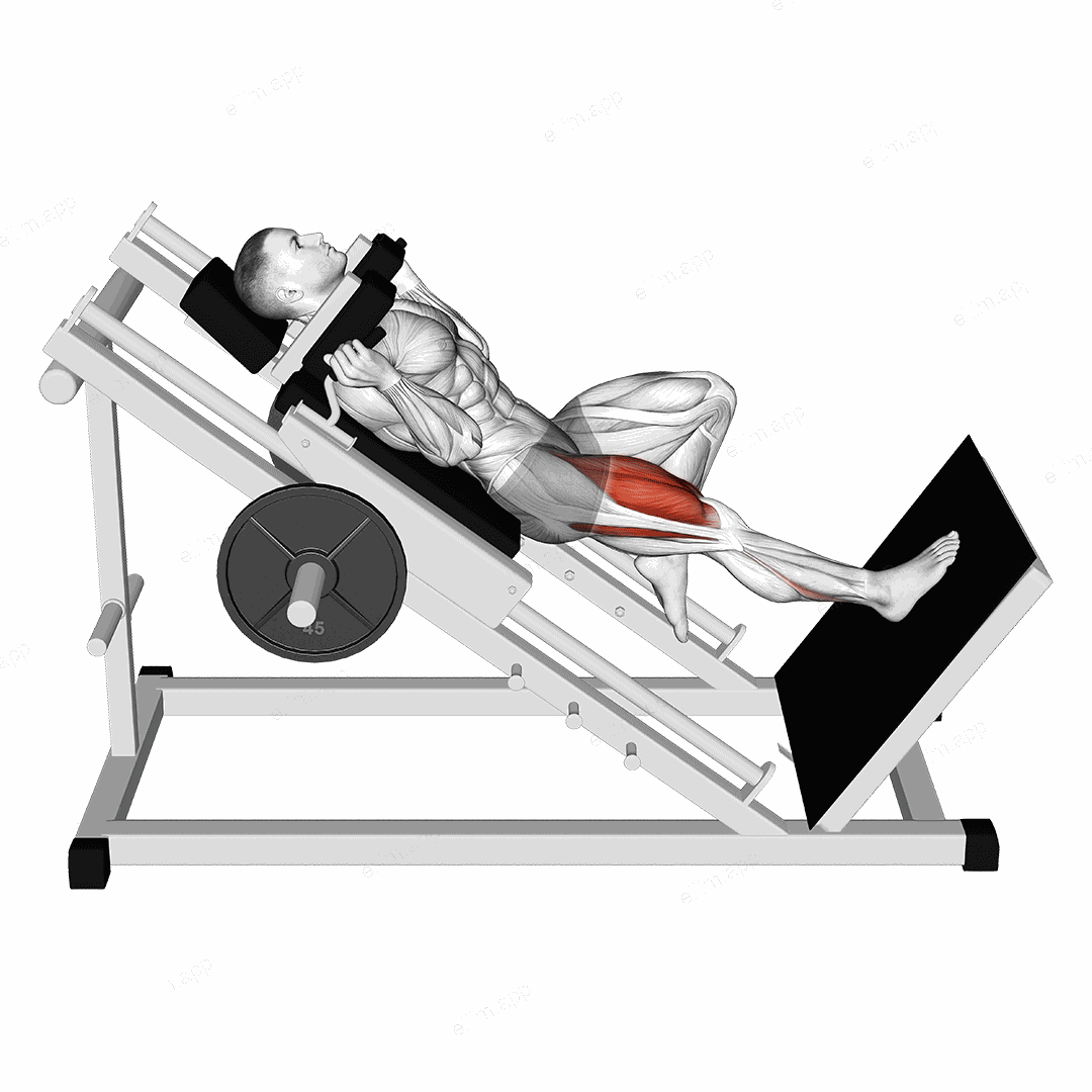 Sled One Leg Hack Squat exercise targeting Thighs