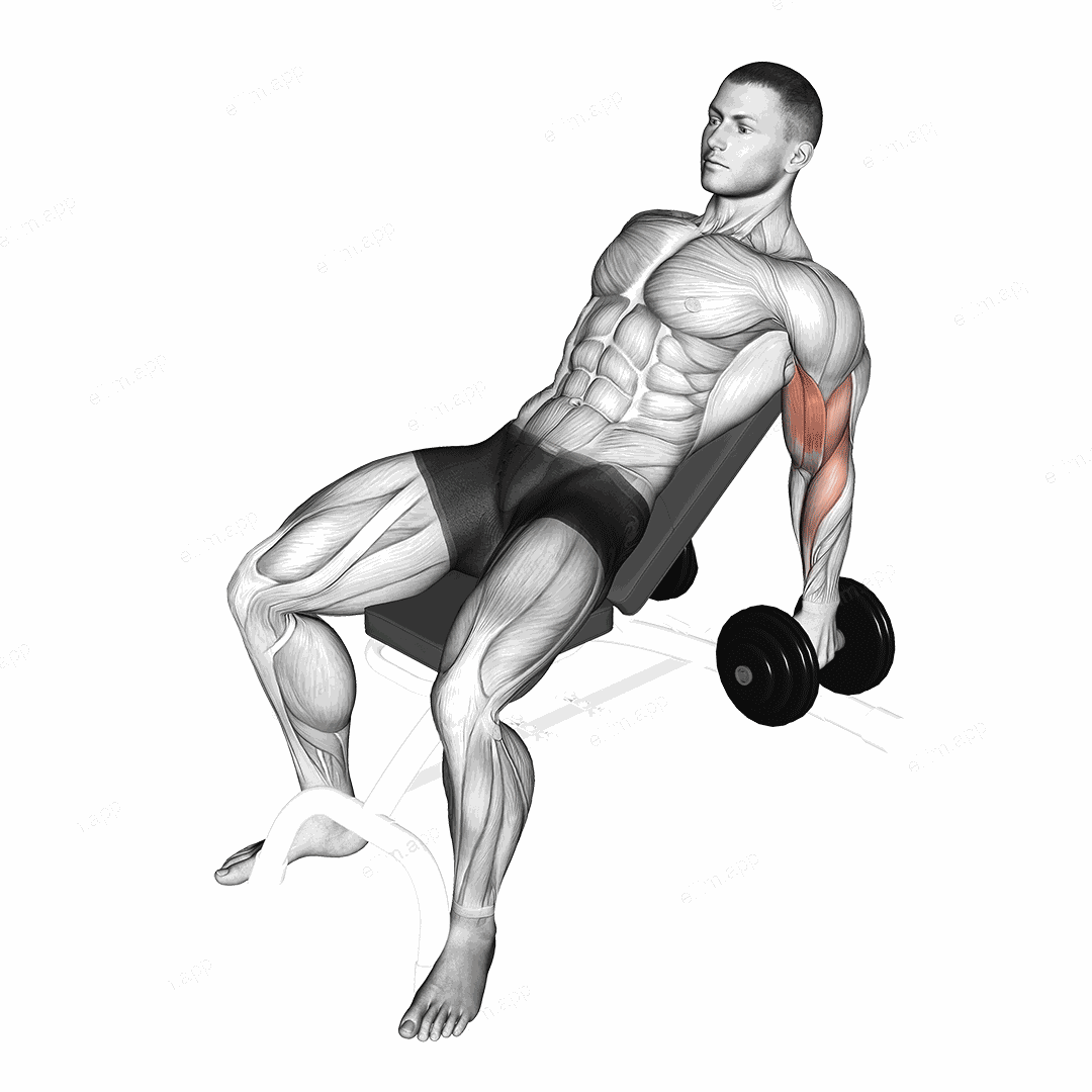 Dumbbell Incline Hammer Curl exercise targeting Upper Arms and Biceps Brachii