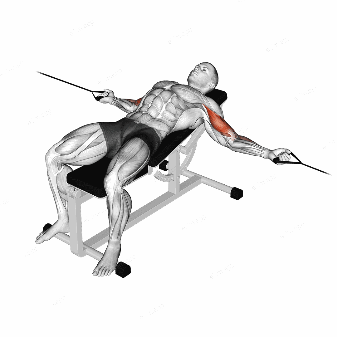 Cable Two Arm Curl on Incline Bench exercise targeting Upper Arms