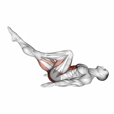 Lying Bicycle Crunch exercise targeting Waist and Gluteus Maximus