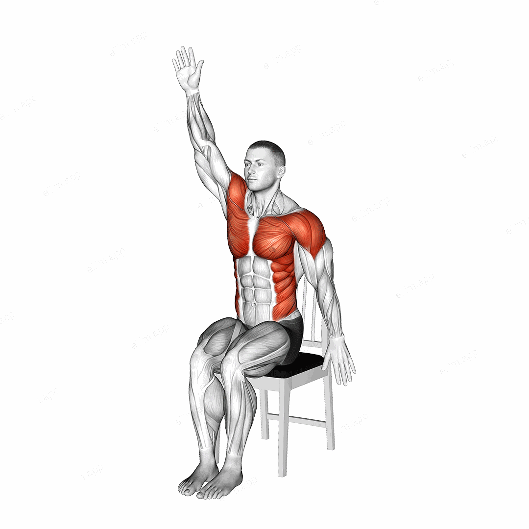 Sitting Swimmer on a Chair exercise targeting Shoulders