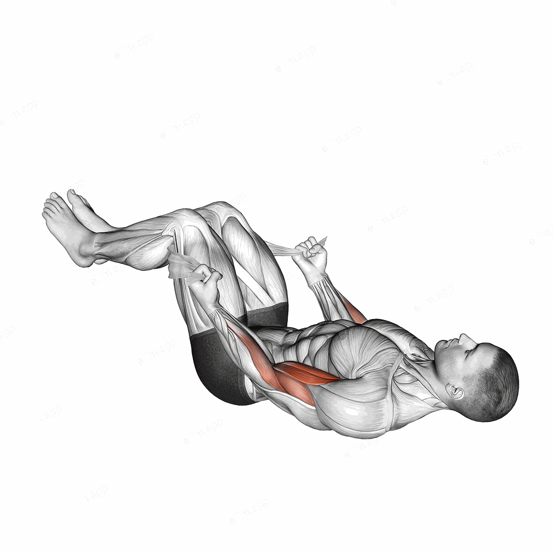 Lying Double Legs Biceps Curl with Towel exercise targeting Upper Arms and Biceps Brachii