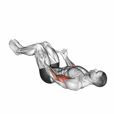 Lying Double Legs Biceps Curl with Towel exercise targeting Upper Arms and Biceps Brachii