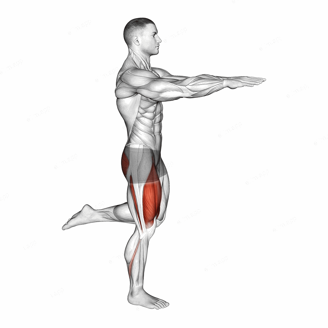 Counterbalanced Skater Squat exercise targeting Thighs and Gluteus Maximus