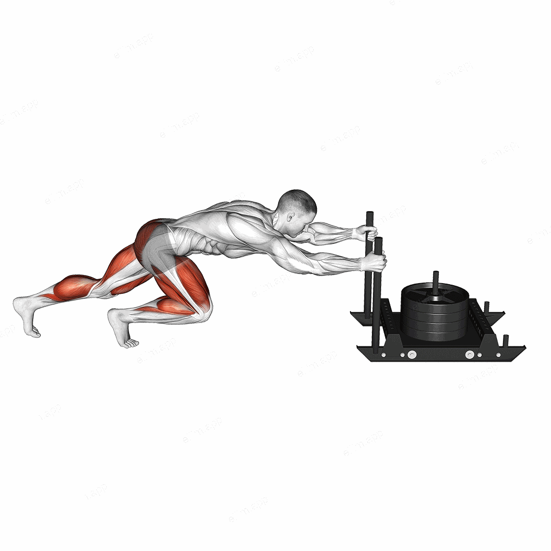 Power Sled Push exercise targeting Weightlifting