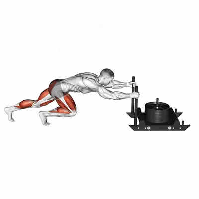 Power Sled Push exercise targeting Weightlifting