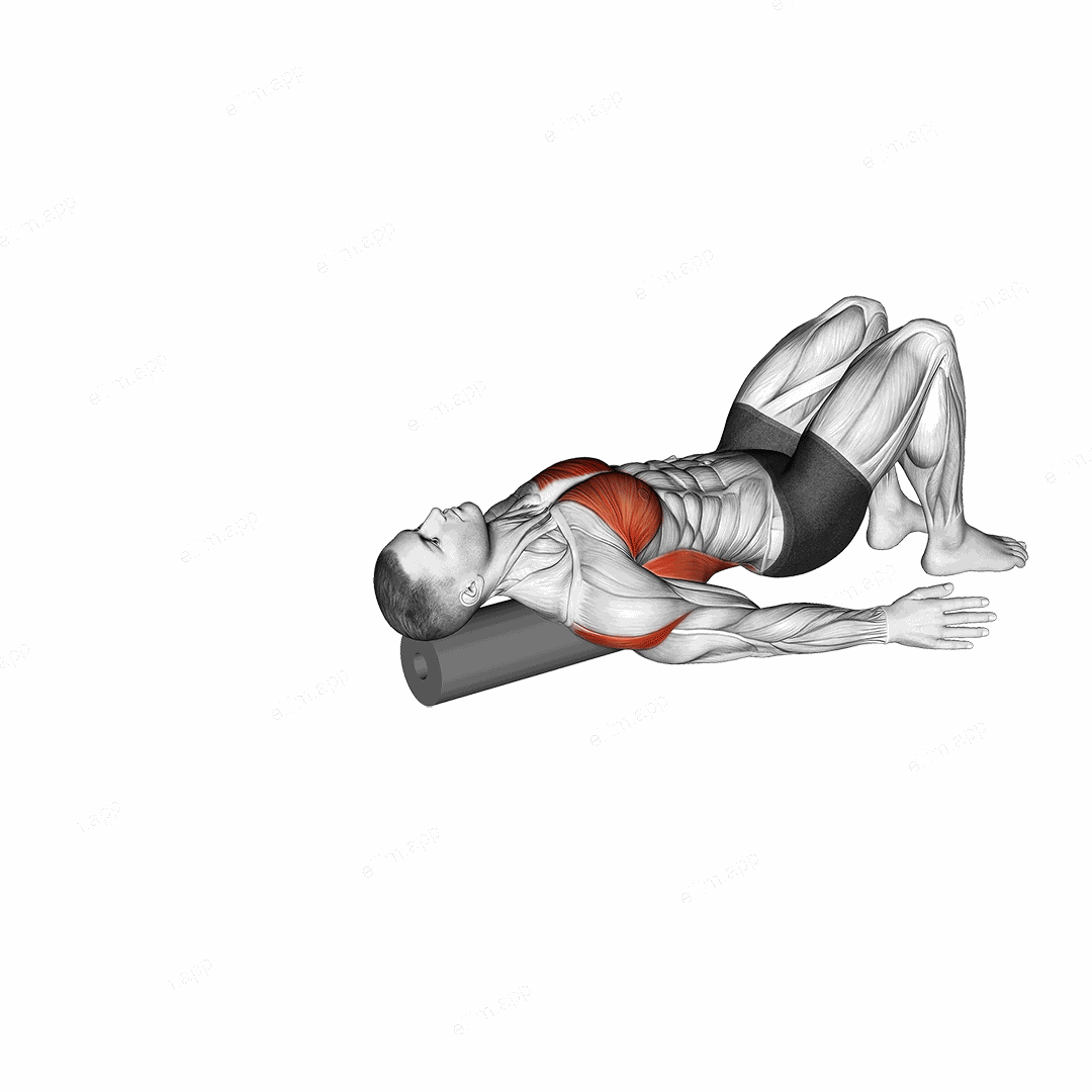 Roll Around the World Lying on Floor exercise targeting Back