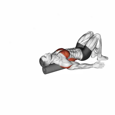 Roll Around the World Lying on Floor exercise targeting Back