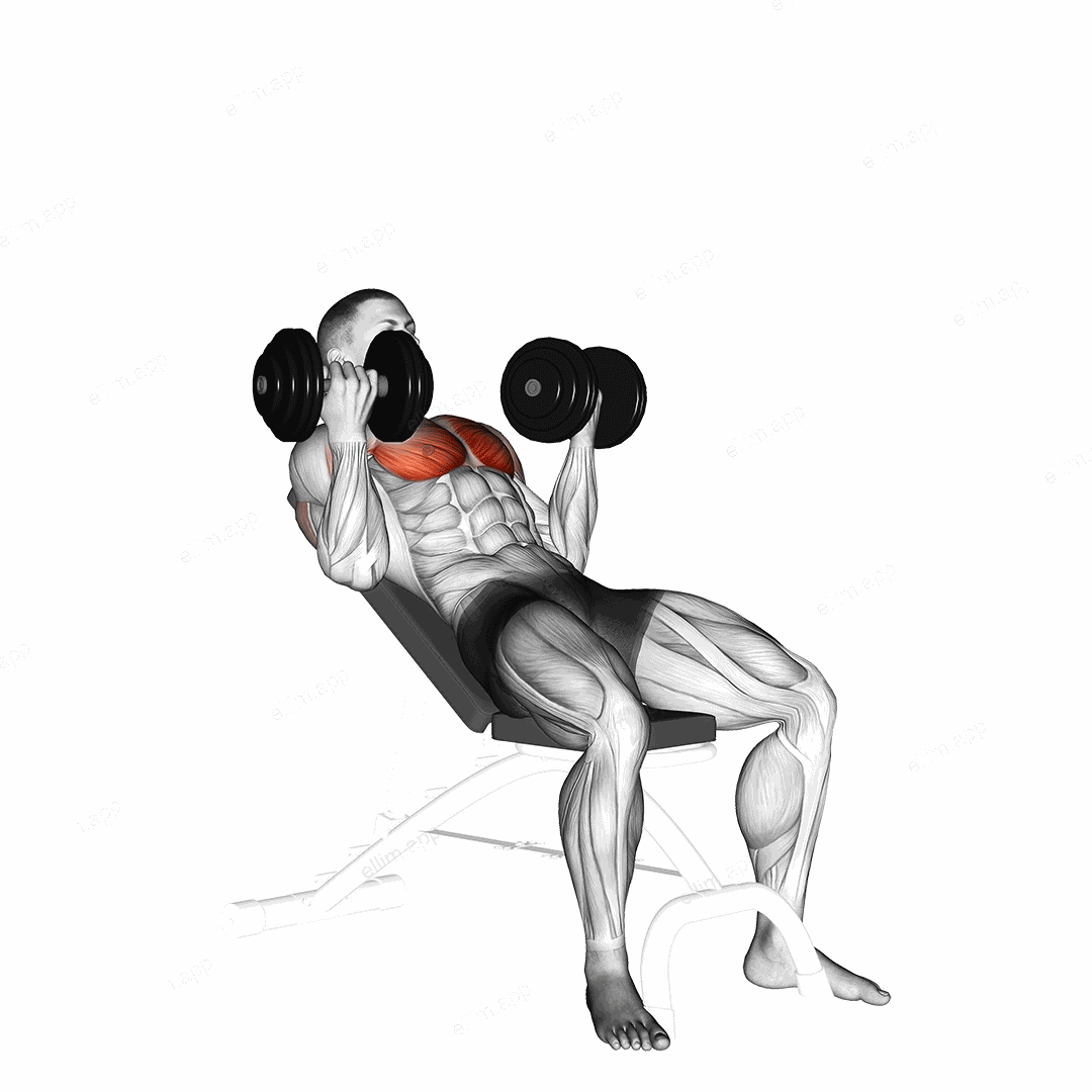 Dumbbell Incline Palm in Press exercise targeting Chest