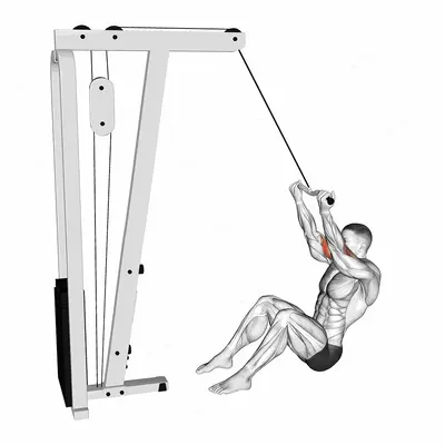 Cable Seated Overhead Curl (SZ Bar) exercise targeting Upper Arms