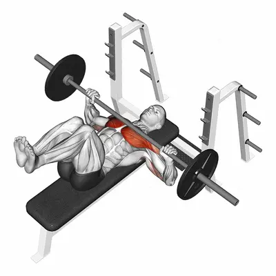 Barbell Bench Press (knees at 90 degrees) exercise targeting Chest and Pectoralis Major Clavicular Head