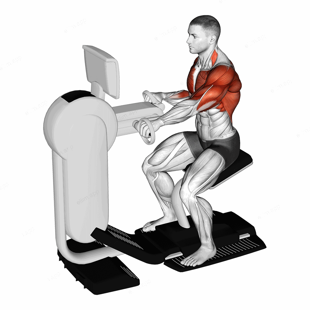 Hands bike exercise targeting Cardio