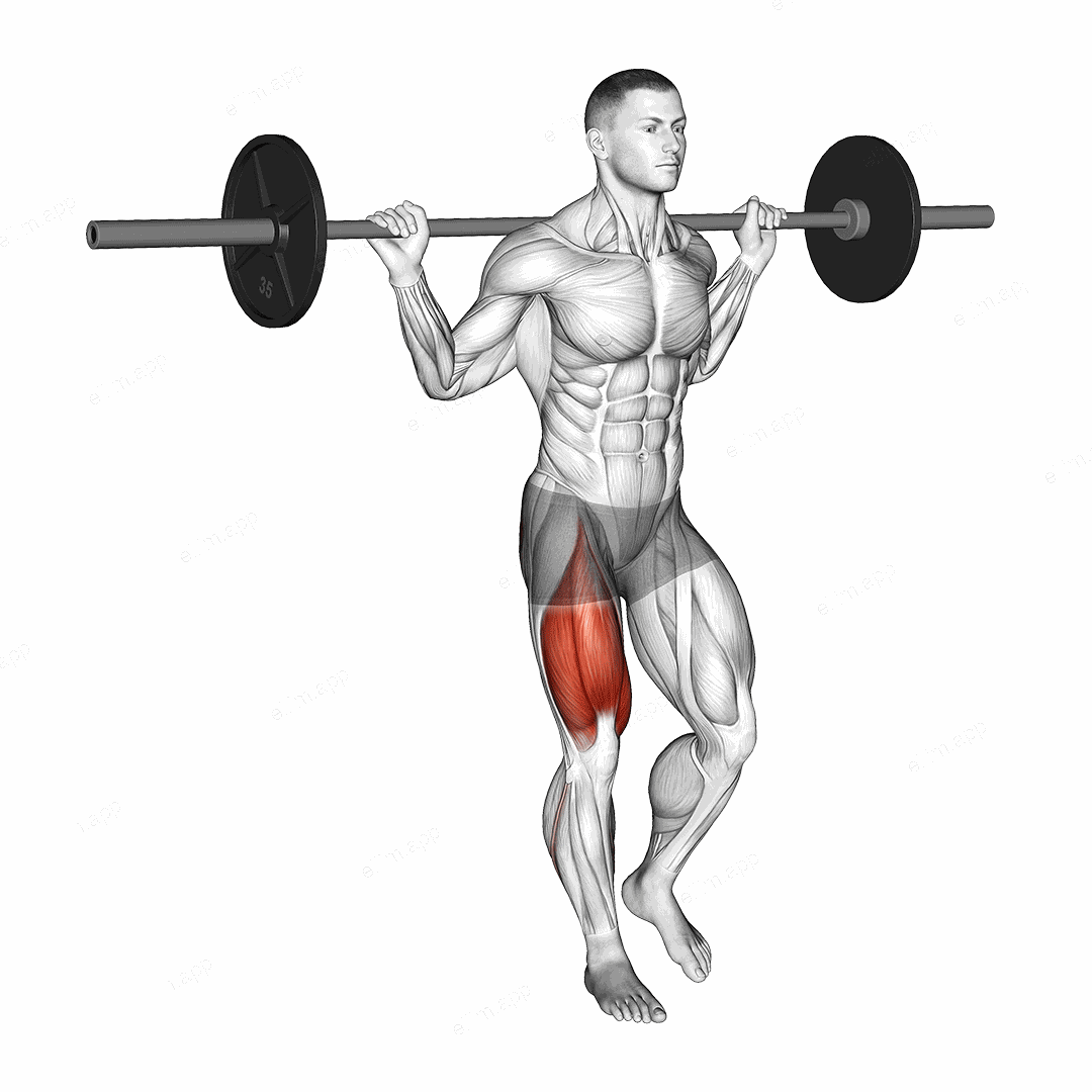 Barbell Single Leg Squat exercise targeting Thighs