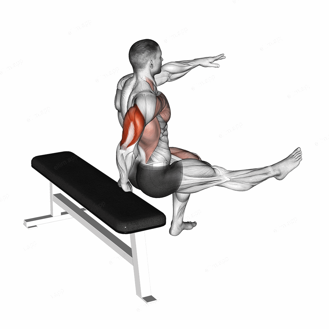 One Arm Dip exercise targeting Upper Arms and Triceps Brachii