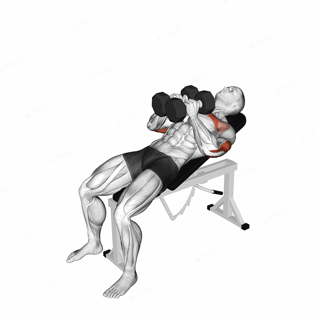 Dumbbell Incline Squeeze Press exercise targeting Upper Arms and Pectoralis Major Clavicular Head