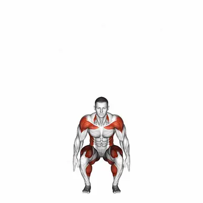 Squat to Overhead Reach with Twist exercise targeting Plyometrics