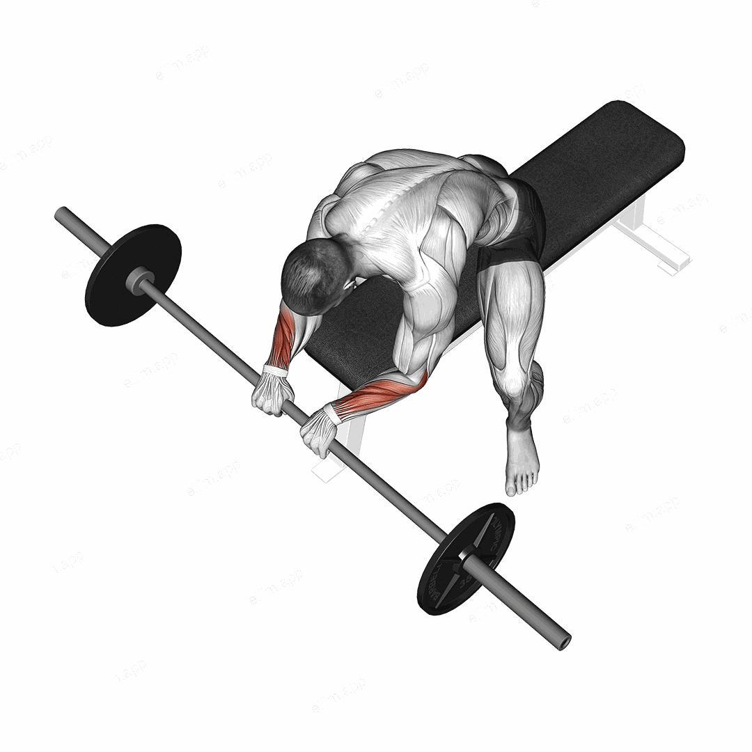 Barbell Reverse Wrist Curl exercise targeting Forearms and Wrist Extensors