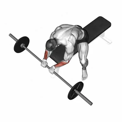 Barbell Reverse Wrist Curl exercise targeting Forearms and Wrist Extensors