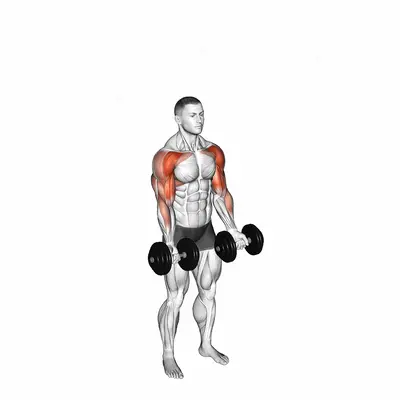 Dumbbell Standing Biceps Curl to Shoulder Press exercise targeting Shoulders and Upper Arms