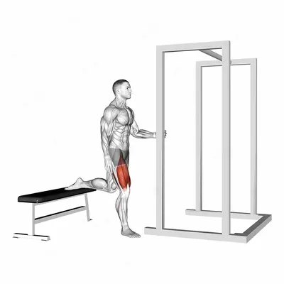 Assisted Bulgarian Split Squat exercise targeting Thighs