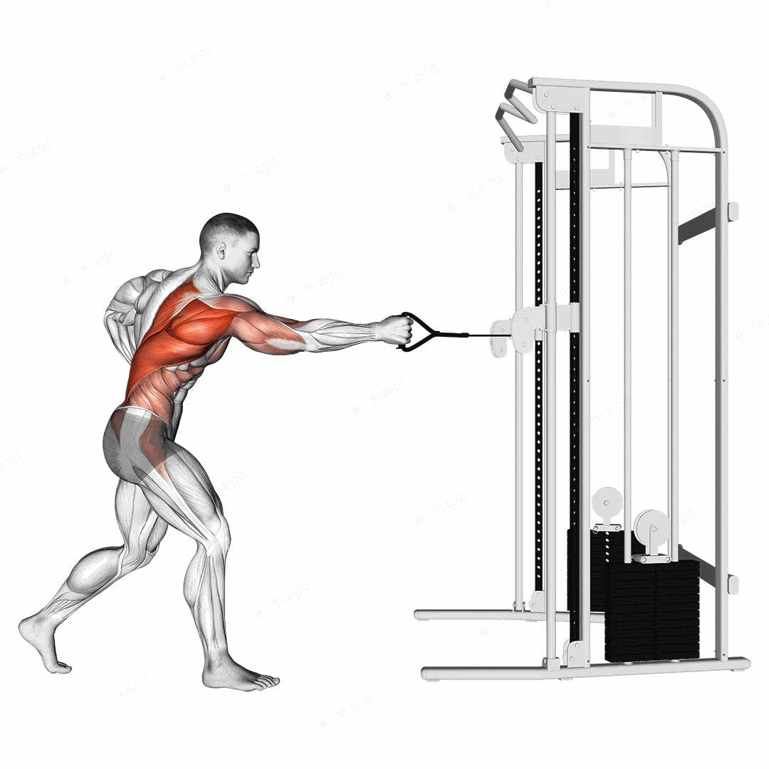 Cable Twisting Standing Row exercise targeting Back and Infraspinatus