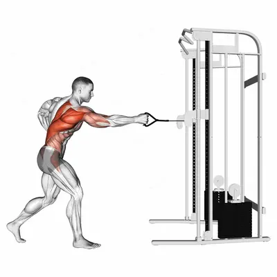 Cable Twisting Standing Row exercise targeting Back and Infraspinatus