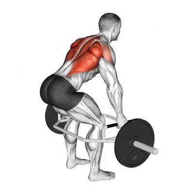 Trap Bar Bent Over Row exercise targeting Back and Infraspinatus