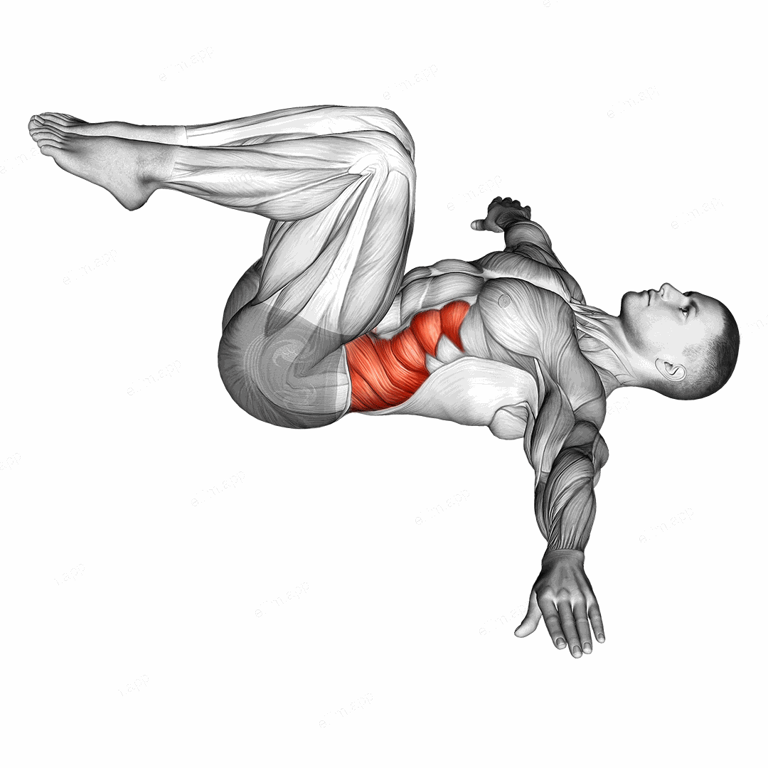 Half Wipers (bent leg) exercise targeting Waist and Obliques